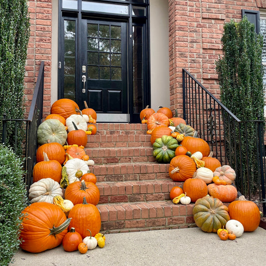 Large Pumpkin Decorating Package
