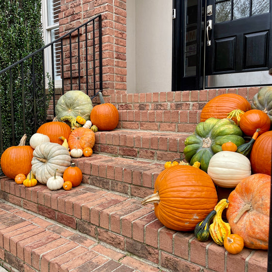 Small Pumpkin Decorating Package
