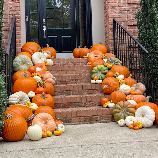 Side angle view of a front porch decorated with a stunning Fall display of orange, white, green and patterned pumpkins and gourds cascading down both sides of a brick staircase.