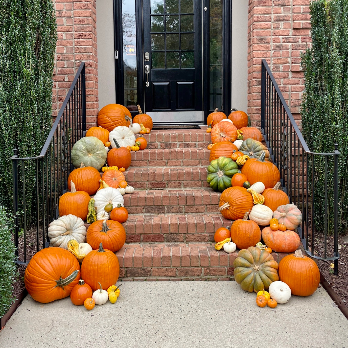 Large Pumpkin Decorating Package