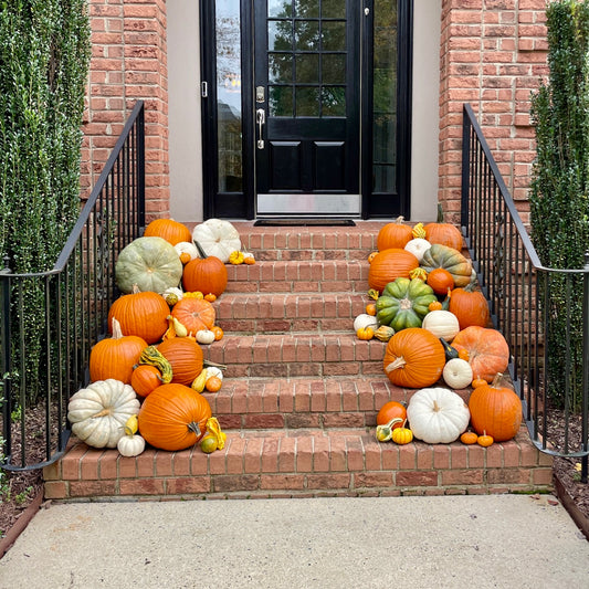Medium Pumpkin Decorating Package
