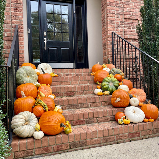 Medium Pumpkin Decorating Package