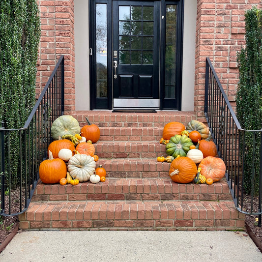 Small Pumpkin Decorating Package