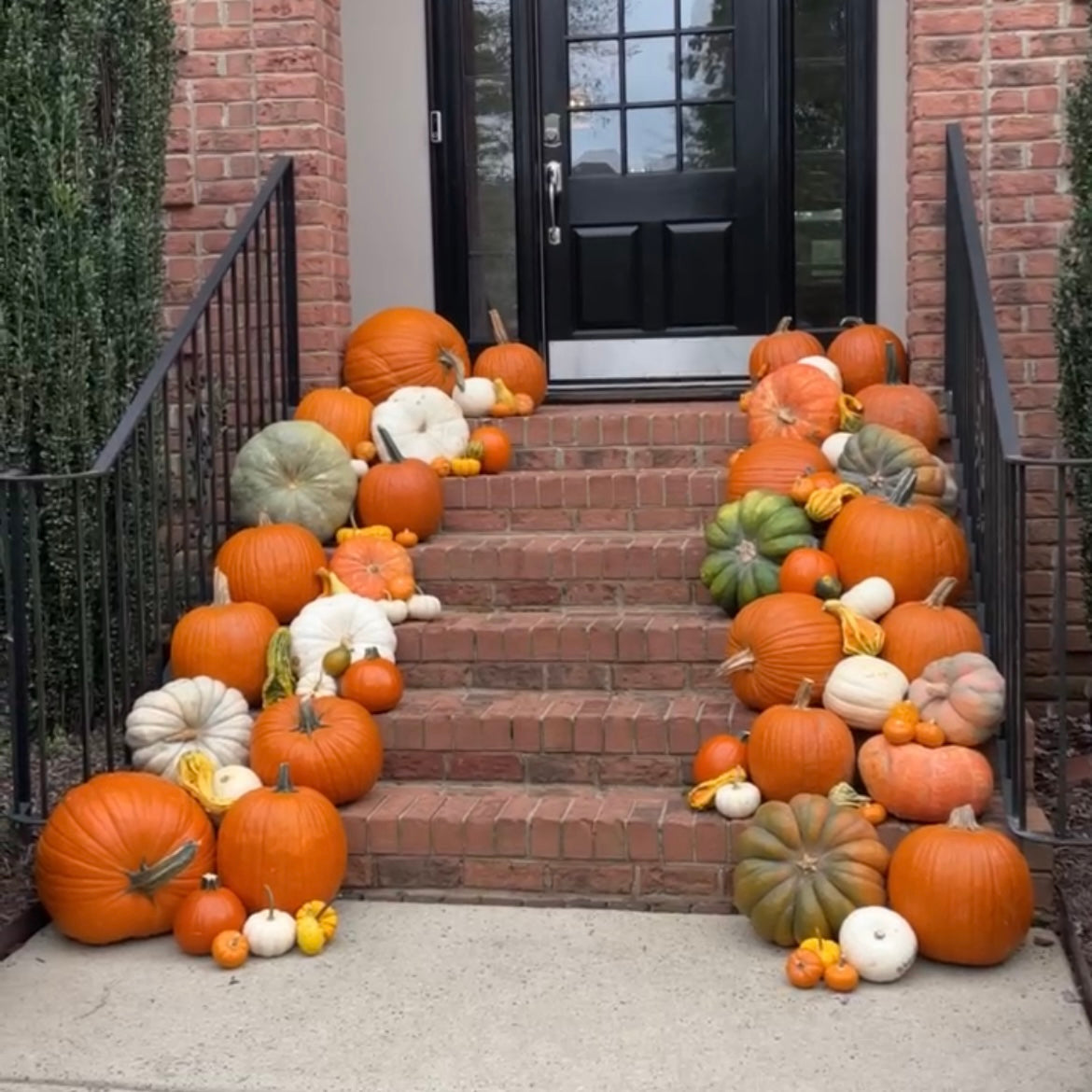 Large Pumpkin Decorating Package