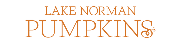 Lake Norman Pumpkins