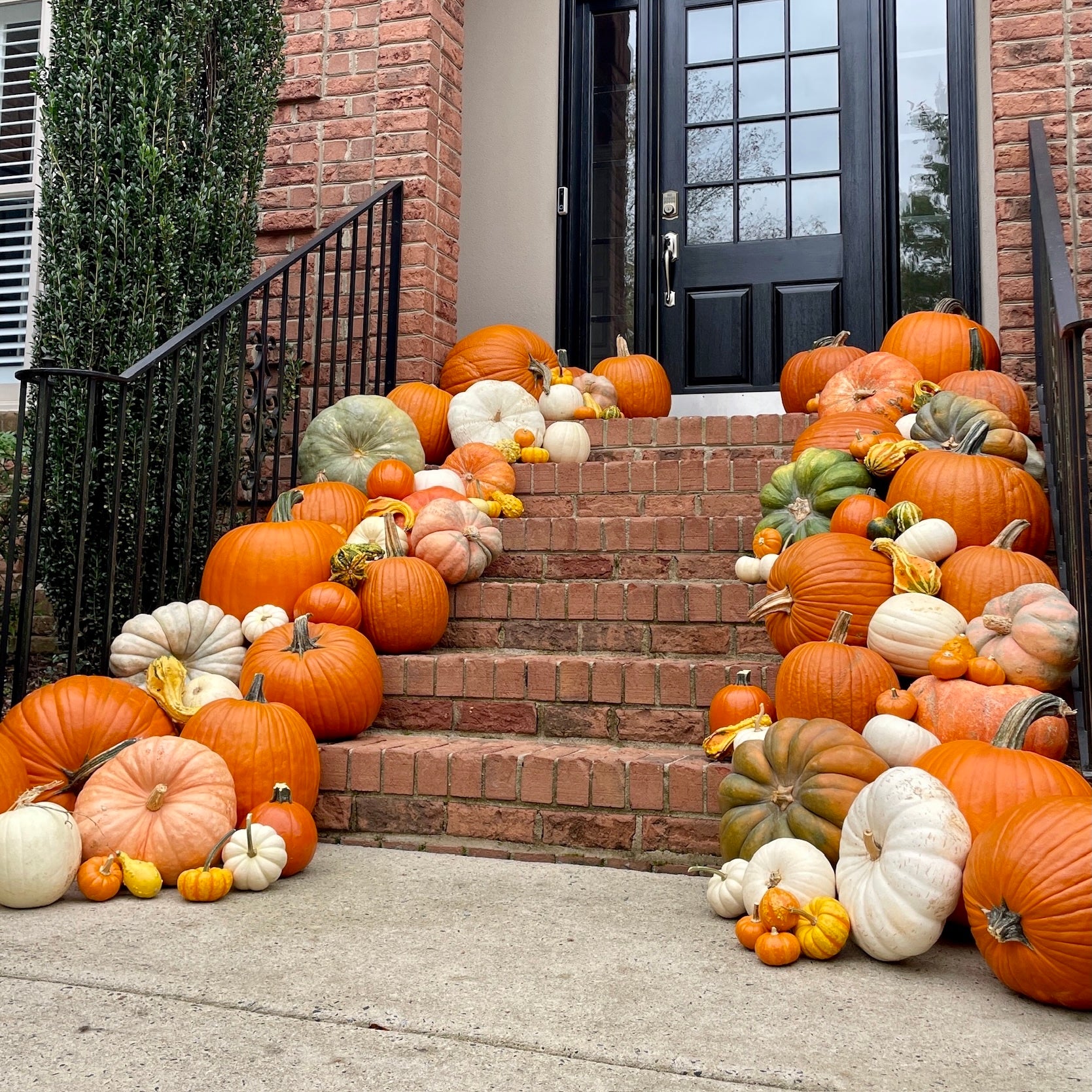 Angled view of a decorative Fall porch arrangement of orange, white, green and patterned pumpkins and gourds lining a staircase leading to a black front door.
