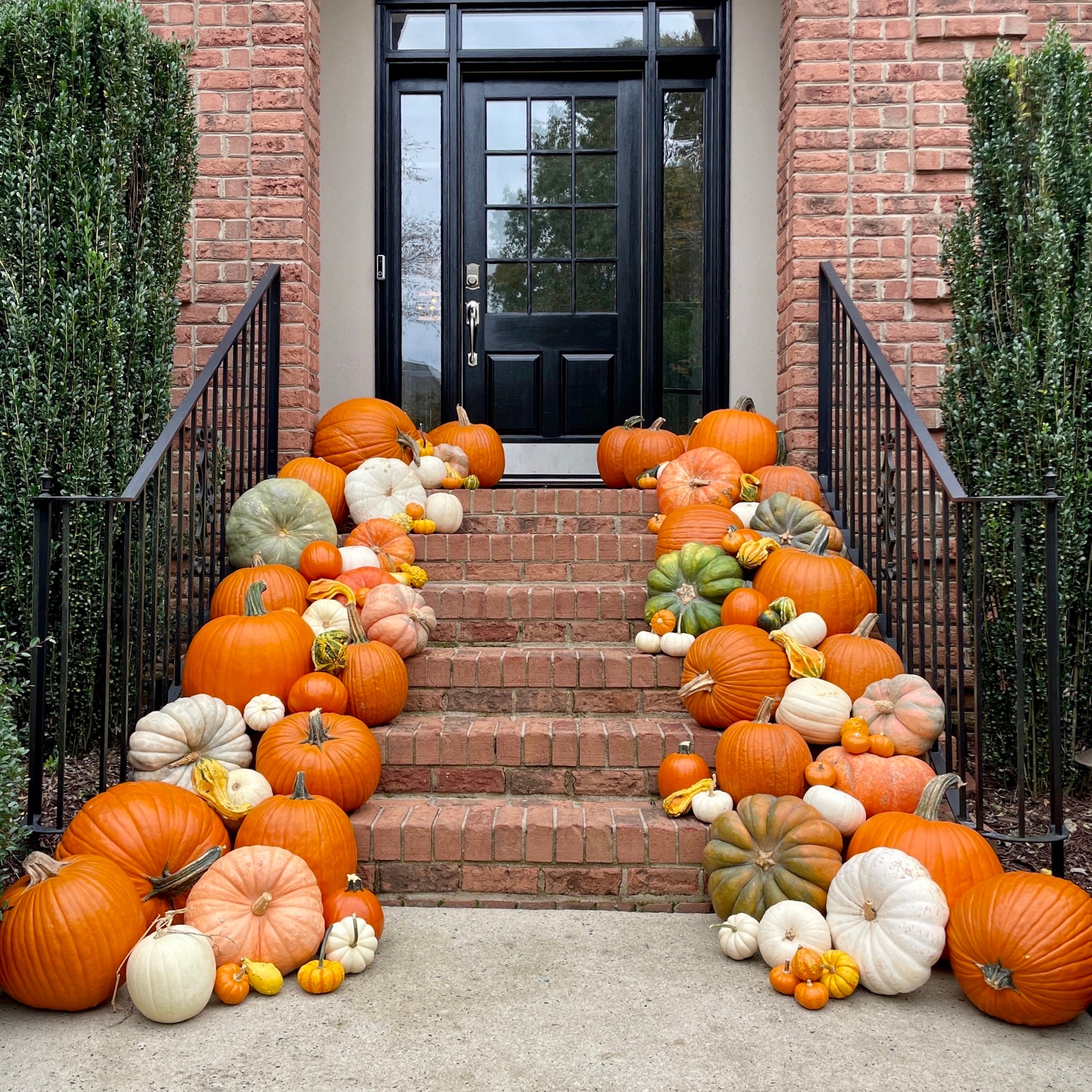Straight on view of a Fall decorative display of various sized orange, white, green and patterned pumpkins and gourds lining a brick staircase, leading up to a small porch and black door entrance.